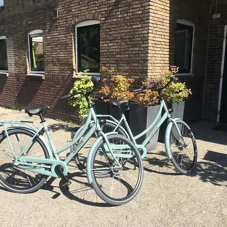 Bed&Breakfast Maasland 3*