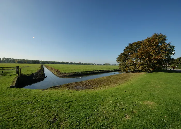 Bed&Breakfast Maasland Oda ve Kahvaltı Maasland