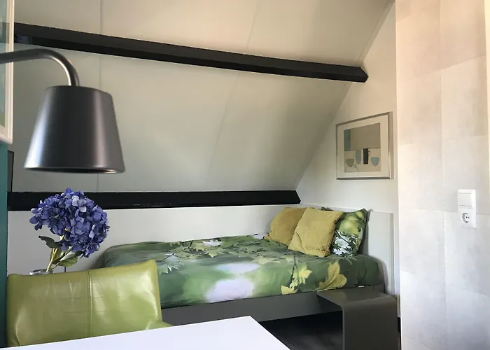 Bed&Breakfast Maasland Oda ve Kahvaltı 3*