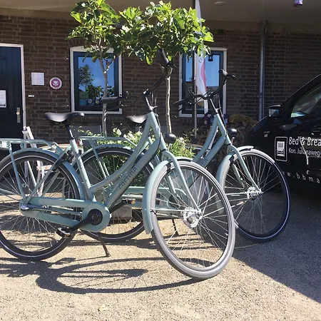 Bed&Breakfast Maasland